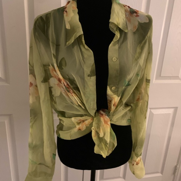 Light green Translucent button down - Picture 3 of 5